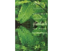 6 Luxe Wenskaarten Deelneming - Condoleance - Overlijden - Oprechte Deelneming - Art of Cards - 11,5x17cm - Dubbele Kaart - Met Envelop - Wens Kaart - Greeting Card - In Folie Verpakt - 213614 - Gratis Verzonden - Hoge Afnamekortingen