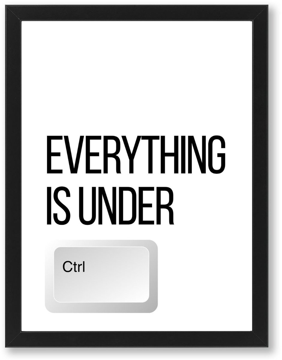 PRNTS Poster - Everything is under control - Poster met quote - Zwarte lijst - Wanddecoratie - 21x30cm