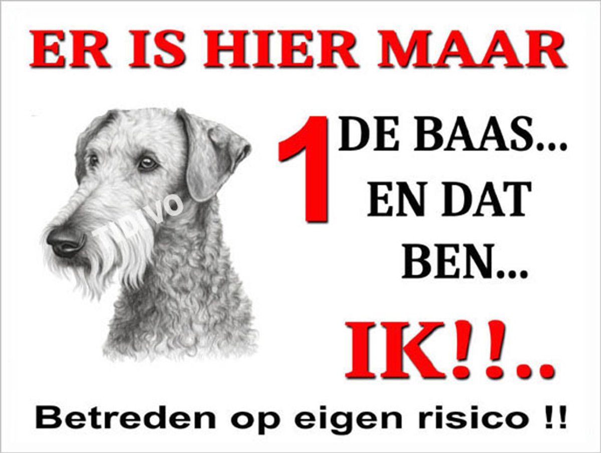 Bedlington Terrier 26