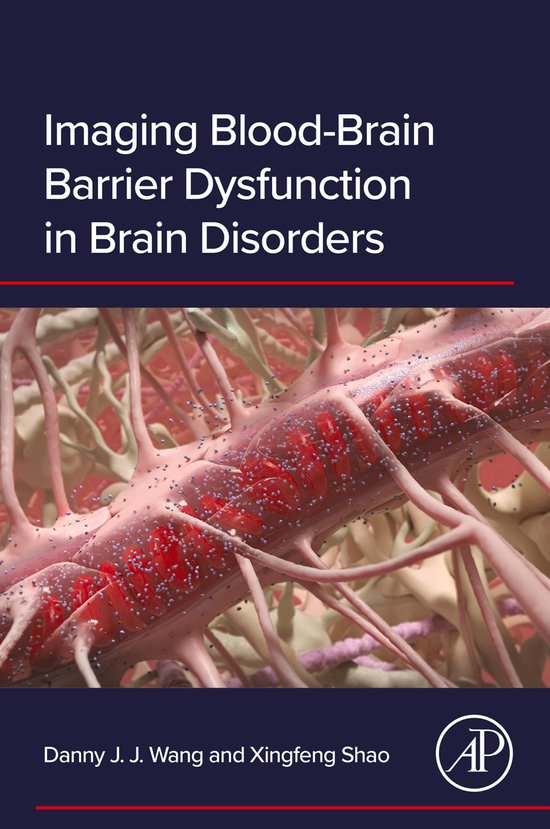 Imaging Blood-Brain Barrier Dysfunction in Brain Disorders - cover