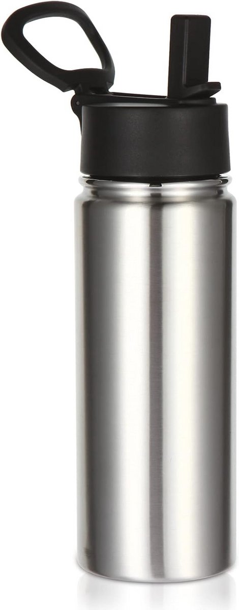 Isolerende RVS Waterfles 530 ml met Rietje - Herbruikbare Fles - Brede Mond Dubbelwandige Vacuum Sportfles voor Koude Dranken