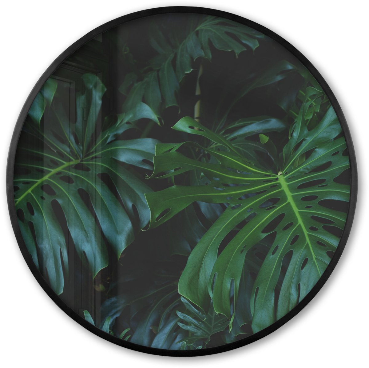 FrameYourWall Poster in lijst Rond - Fotolijst 80x80 cm - Posters - Monstera - Bladeren - Tropisch - Jungle - Ronde posterlijst zwart - Decoratie - Wanddecoratie woonkamer - Muurdecoratie slaapkamer Multicolor