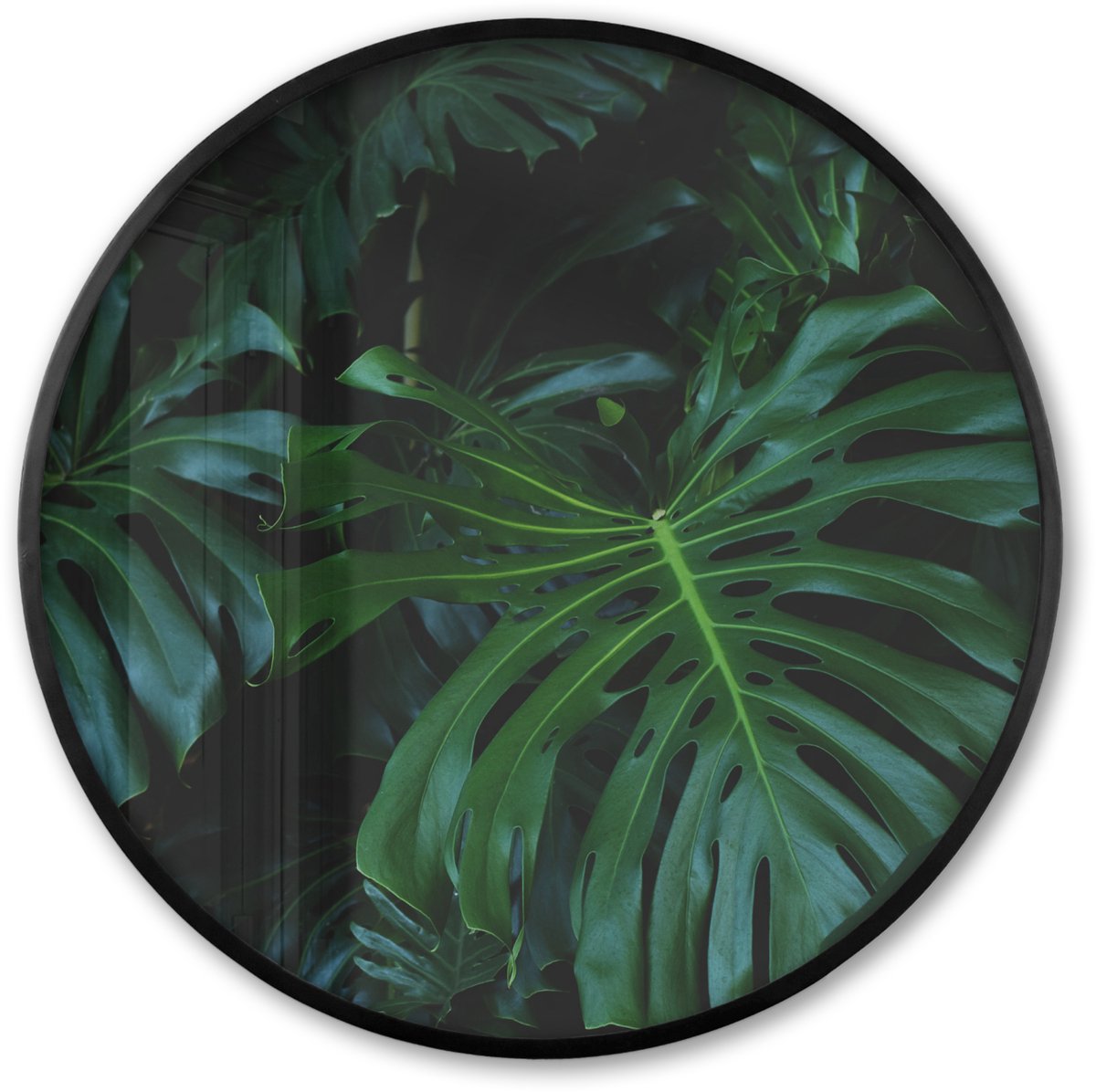 FrameYourWall Poster in lijst Rond - Fotolijst 60x60 cm - Posters - Monstera - Bladeren - Tropical - Ronde posterlijst zwart - Decoratie - Wanddecoratie woonkamer - Muurdecoratie slaapkamer Multicolor