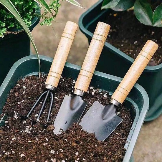 Daity 3-delige tuingereedschapset voor het losmaken van de grond - Kleine metalen handgereedschappen voor het losmaken van de grond en het wieden van planten en bloemen. van Daity — afbeelding 2