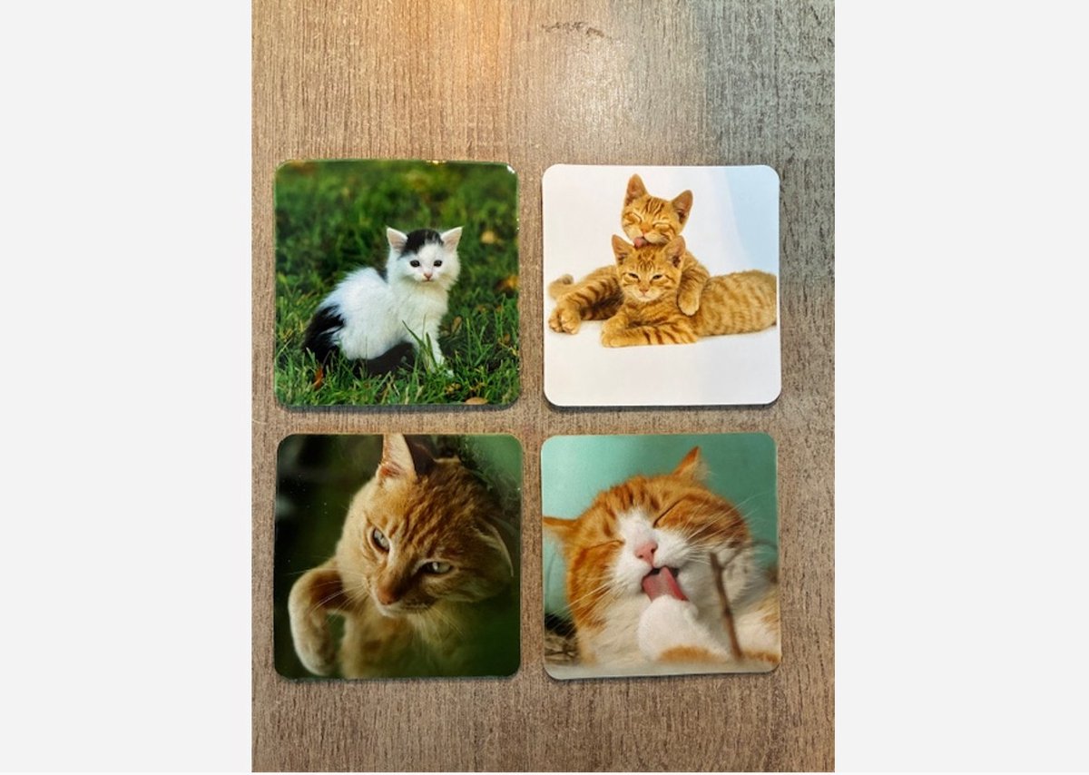 Onderzetters katten setje van 4 stuks