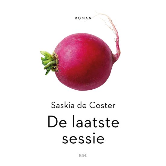De laatste sessie - cover