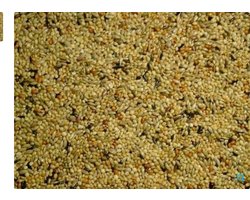 Himbergen neophemazaad 2,5 kg