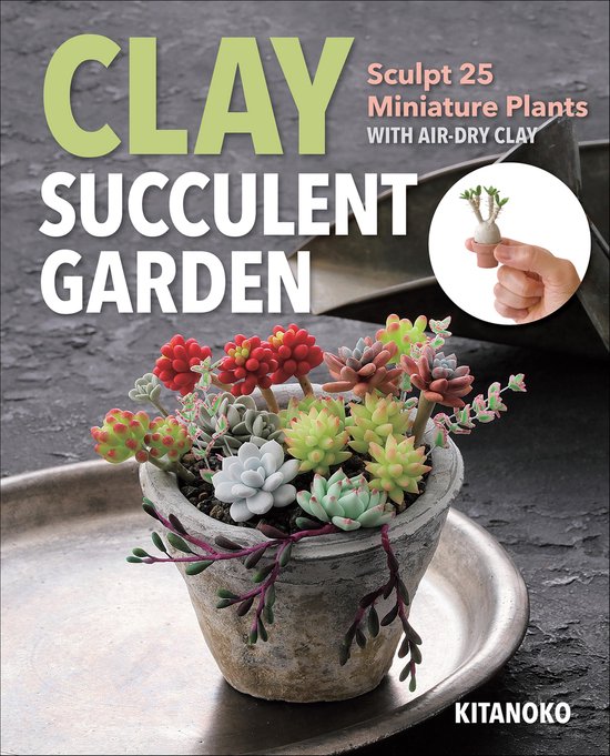 Clay Succulent Garden - cover