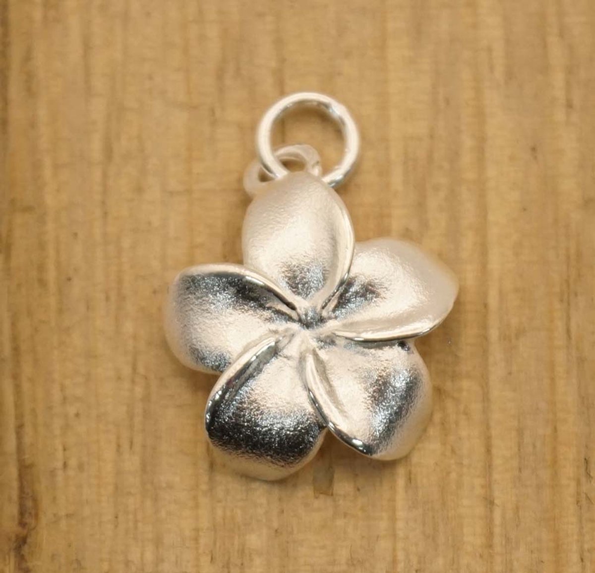 Leuke zilveren hanger voor aan ketting van een bloem - sterling zilveren hangertje van bloeiende bloem- zilveren hangers kleine bloem- pendant flower silver - bloemen hangers van zilver - sierlijke hangers - zilveren vrouwelijke hangers