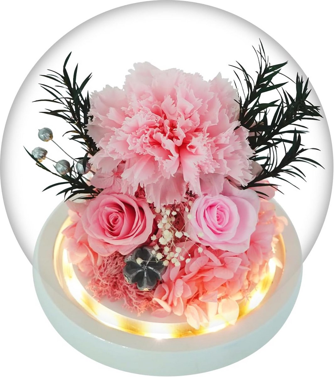 Eeuwige Roos in Glazen Koepel met LED Verlichting - Luxe Decoratie en Blijvend Bloemen Geschenk