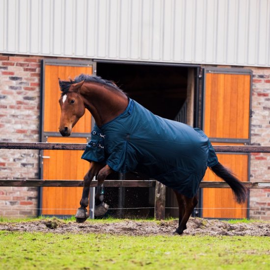 Couverture d'hiver DR Turnout 100 grammes 600 Denier Ripstop - Navy - 205/155/6'9