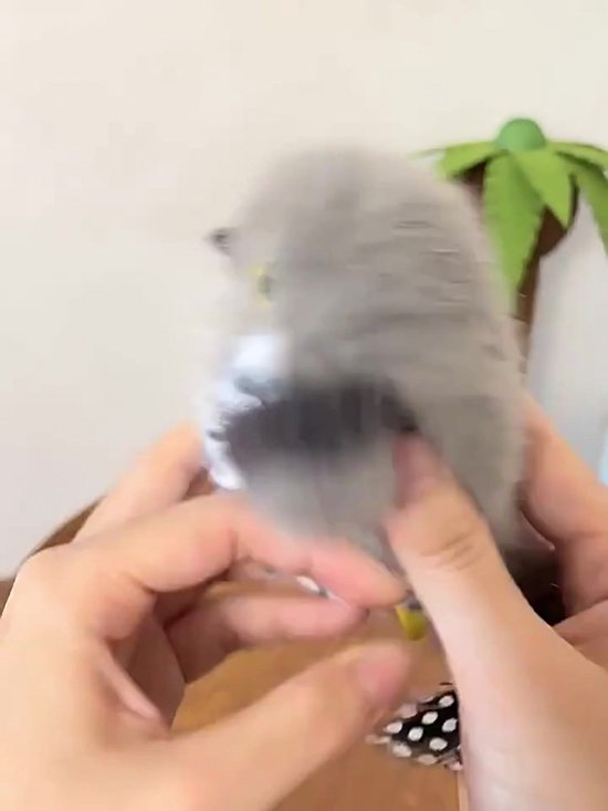 Oplaadbare Interactieve Vogel - Interactief Katten Speelgoed - Interactief Klapperende Vogel - Produceert Vogelgeluiden - USB Oplaadbaar - Wasbaar en Oplaadbaar - Oplaadbaar Pluche Vliegende Vogelspeelgoed voor Kittens en Honden - Automatisch