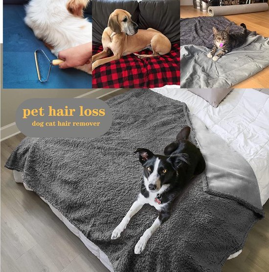 Haarverwijderaar voor huisdieren, accessoires voor honden en katten, voor kleding, bank, bed, tapijten en stoffen, wasbaar en herbruikbaar