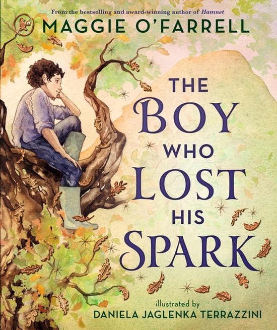 Boekcover: Jongen zit in boom. Tekst: 'The Boy Who Lost His Spark' door Maggie O'Farrell.