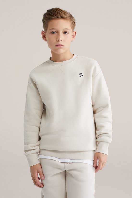 WE Fashion Jongens regular fit sweater