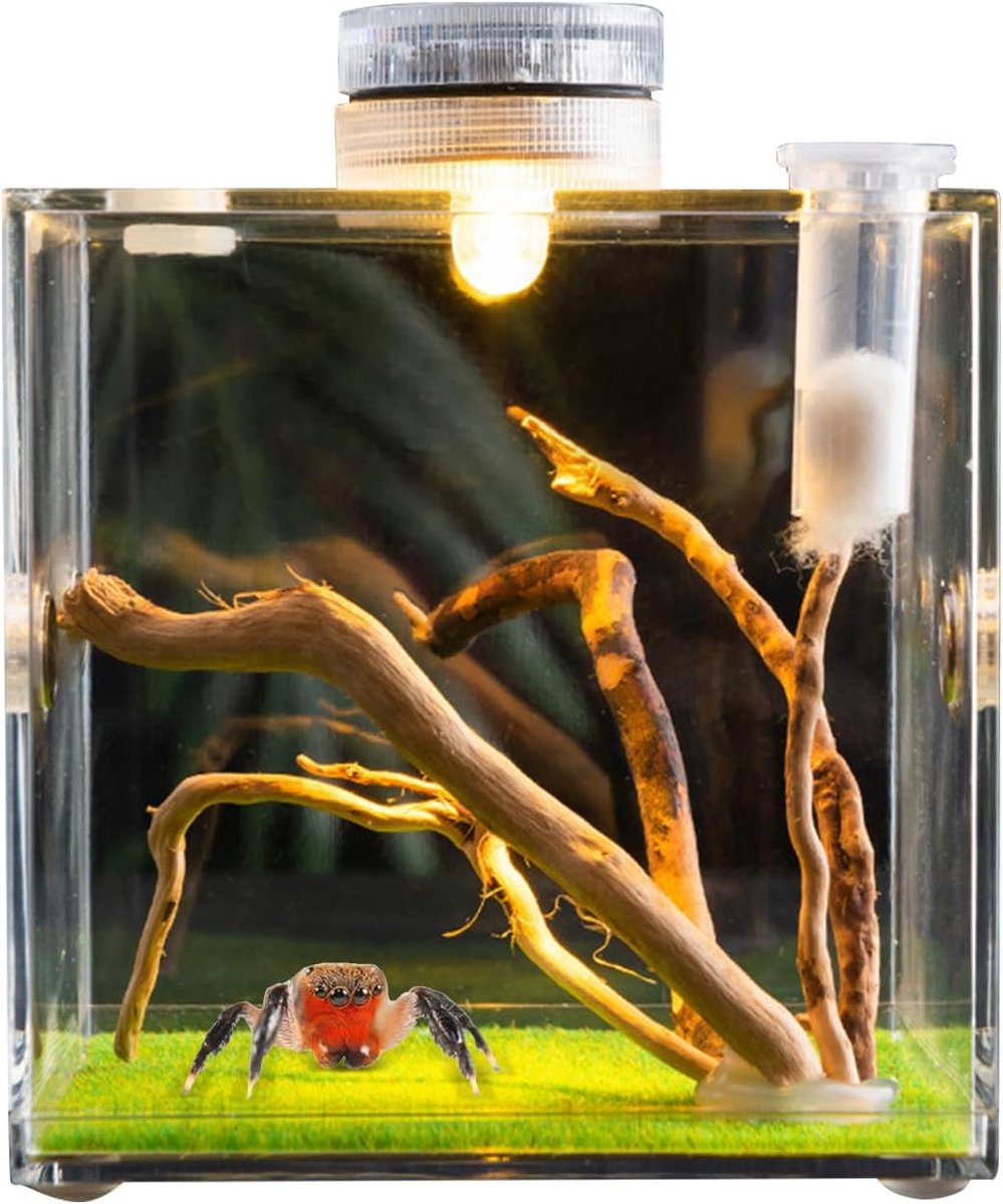 Acryl Habitat voor Springspinnen en Kleine Insecten - Terrarium met LED en Ventilatie