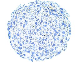 Keramische Mosaïektegels in Bladvorm - DIY Decoratie voor Badkamers, Woonkamers, Keukens en Tuinen