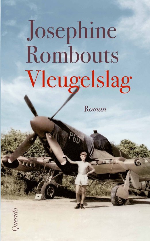 Vleugelslag - cover