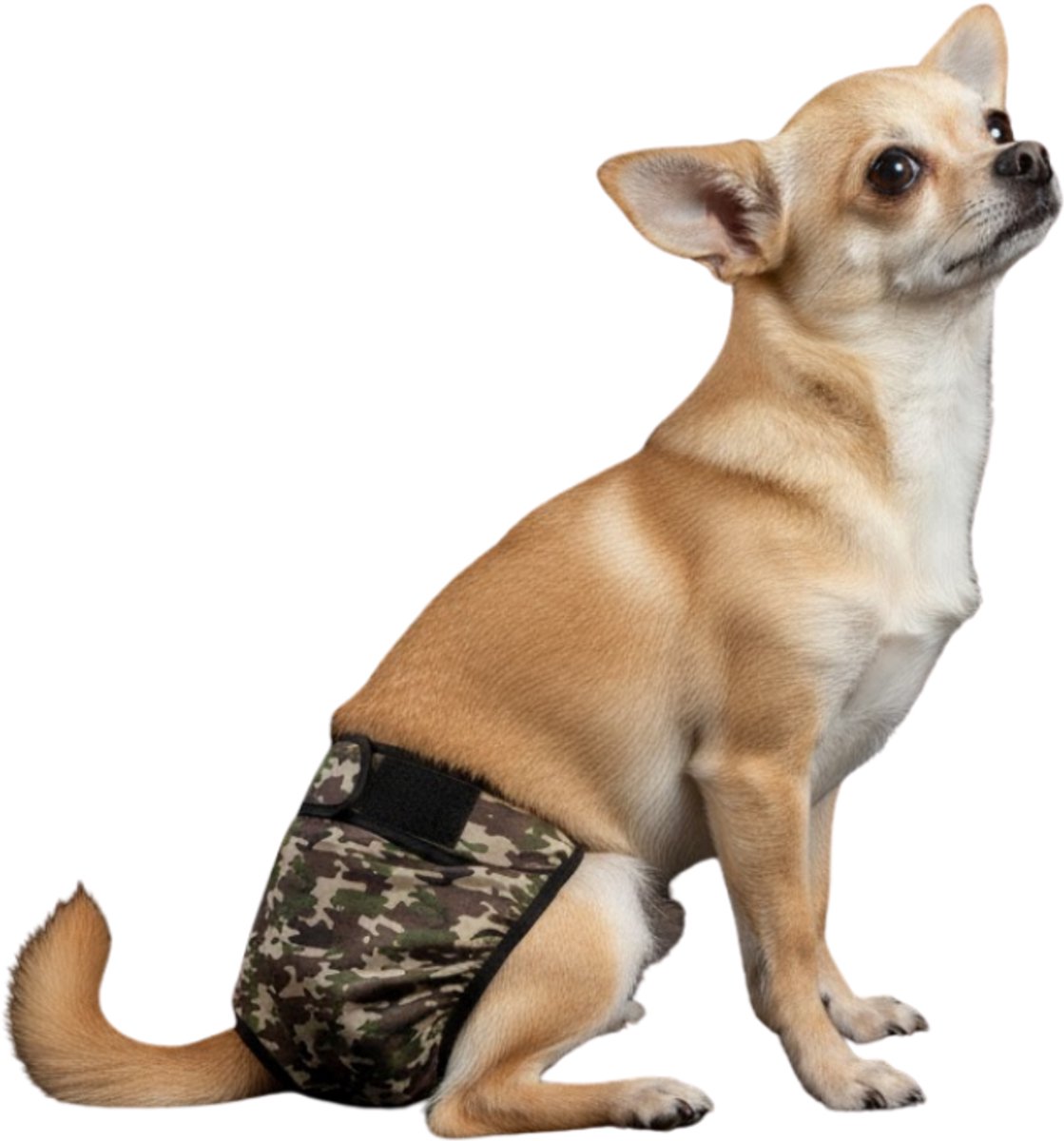 Sharon B Loopsheidbroekje hond - Camouflage groen - Maat XS - Wasbaar