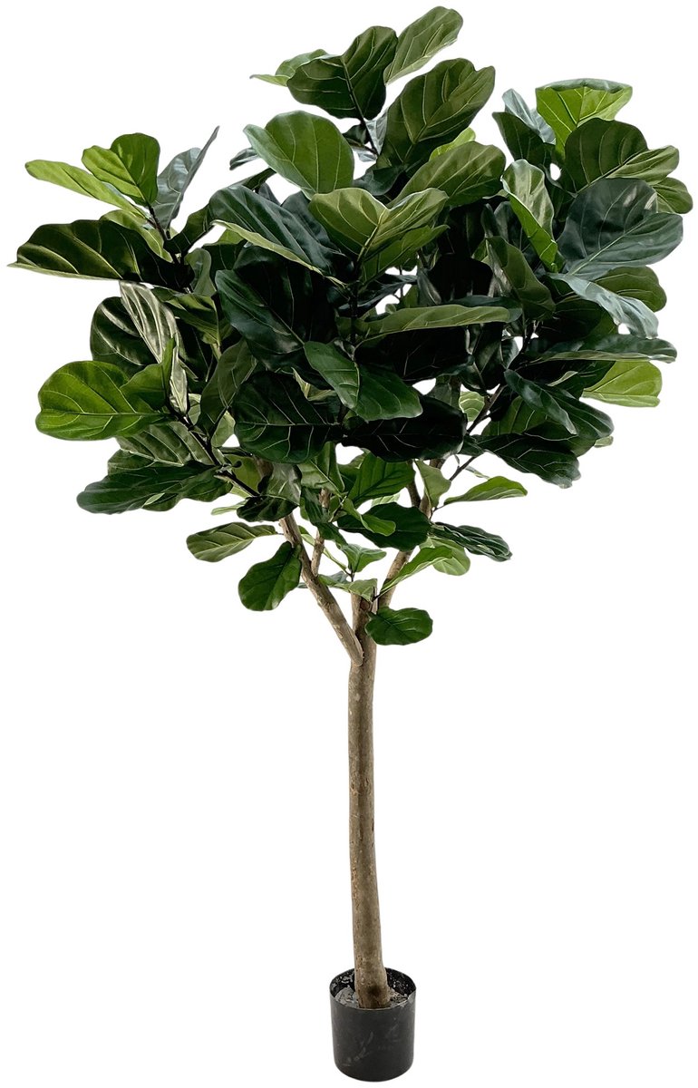 maxifleur Kunstplanten Lyrata Deluxe Y Kunstboom 220cm in pot Groen
