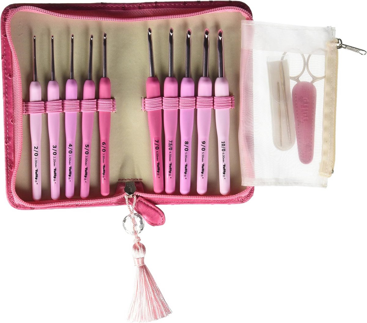 Haaknaaldset 10-delig met Etui en Accessoires