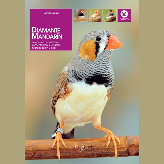 Diamante mandarín - cover