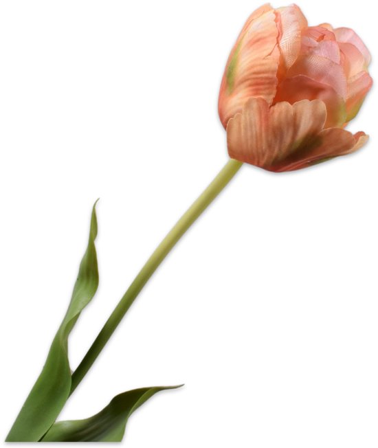 Oranje-gele tulp met groene blaadjes en stengel.