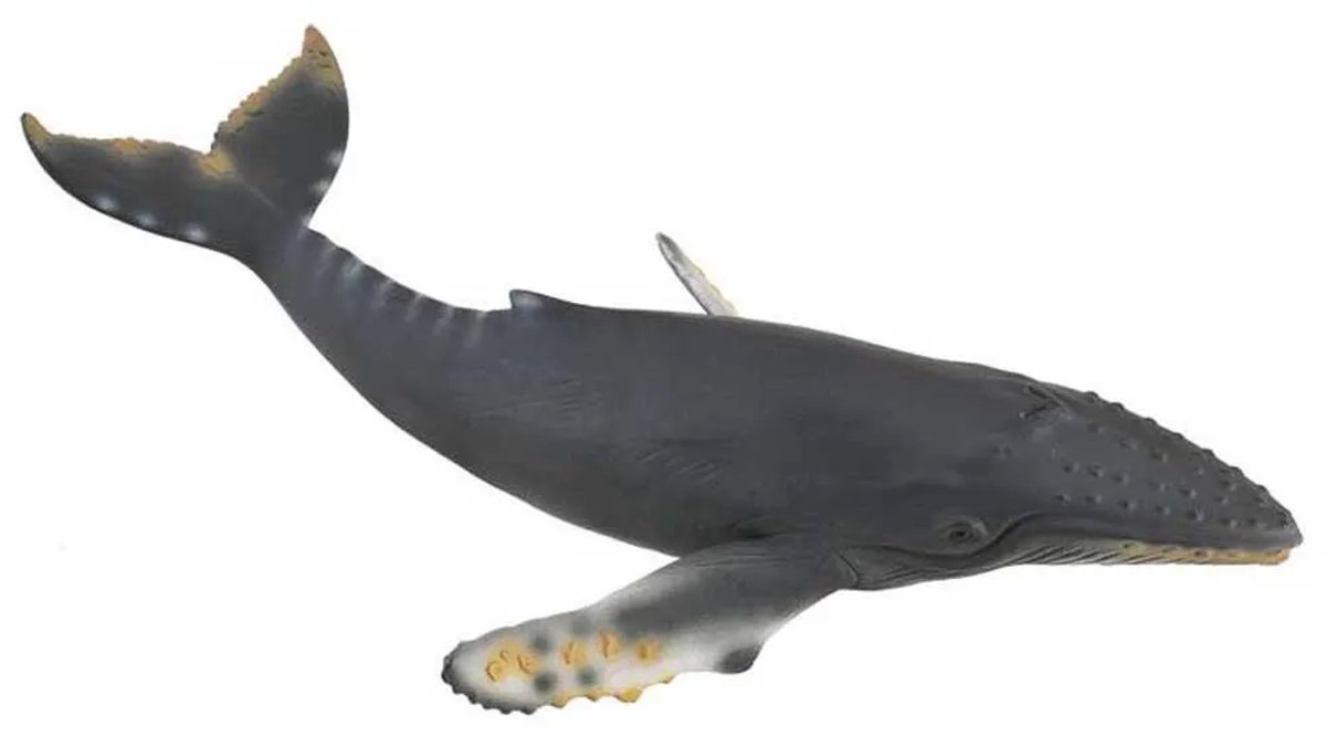 Figurine - Bultrug Walvis - (Xl) - Zeedieren - Handgeschilderd - Miniatuur van Collecta in Grijs – productfoto