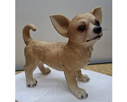 Chihuahua beeldje - 23 cm hoog - polystone - beeld - tuinbeeld - hoogkwalitatieve kunststof - decoratiefiguur - interieur - accessoire - voor binnen - voor buiten - cadeau - geschenk