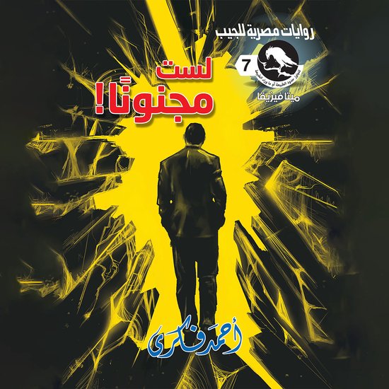 لست مجنونا - cover