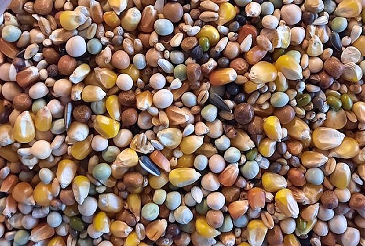 Duivenvoer 7,5 kg