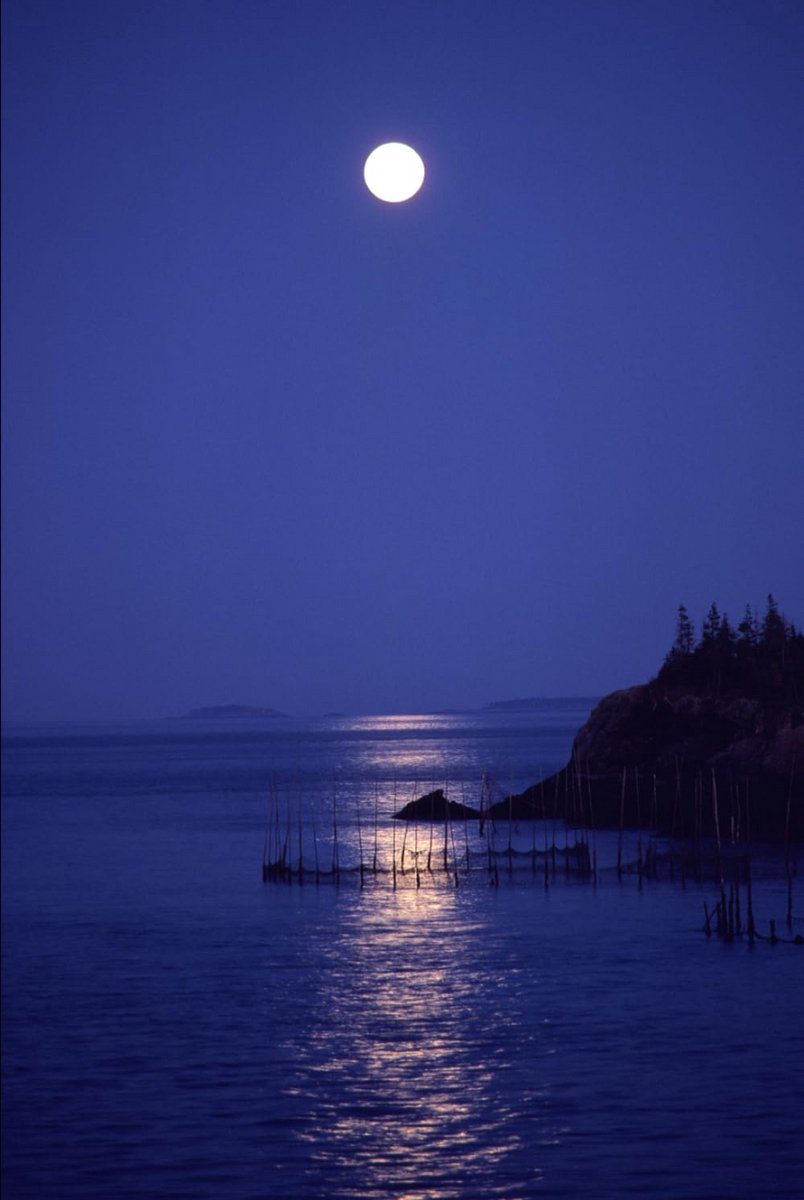 To the Moon and Back