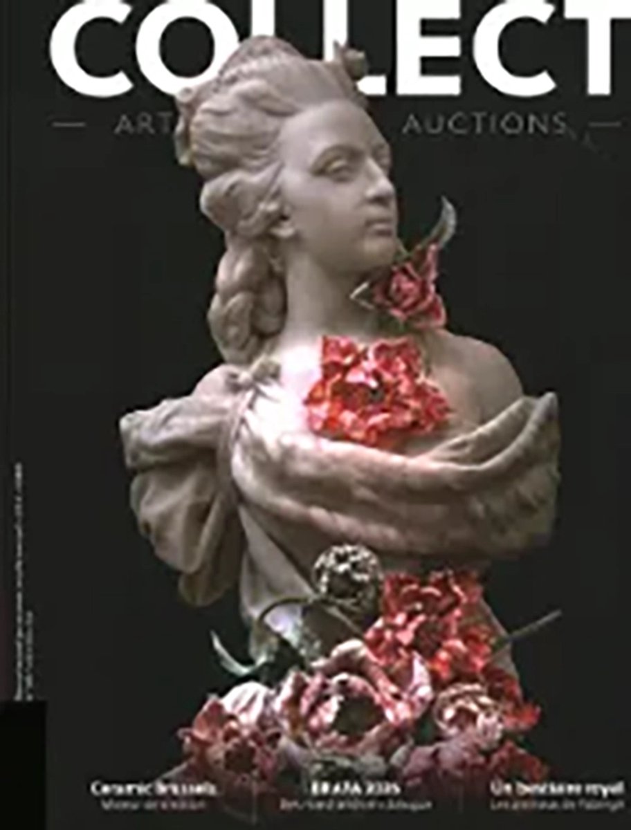 collect AAA NL - 548
