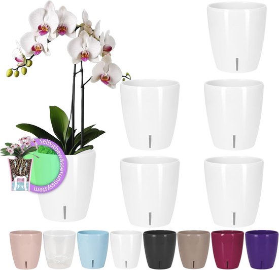 Santino Orchideeënpotten, set van 6, zelfbewaterende pot met waterlontsysteem en waterpeilindicator, voor gebruik binnenshuis, diameter 15 cm (zandkleurig, 2 liter