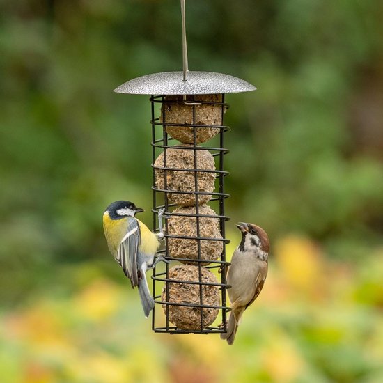 CJ Wildlife Vetbolhouder voor Vogels - Adelaide - Mezenbolhouder - Veilig eten voor Kleine Tuinvogels - Voor 4 vetbollen - Zwart / Zilver