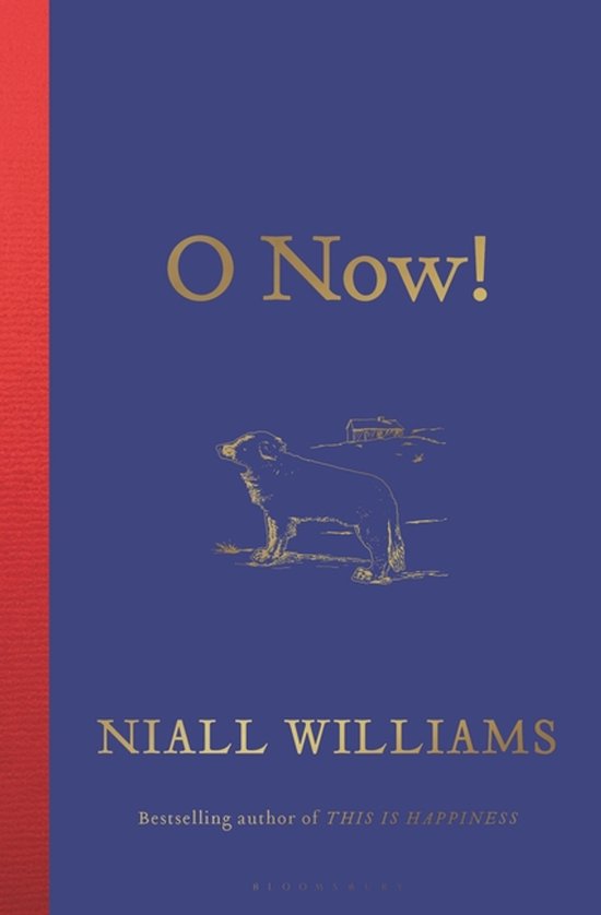 O Now! - cover