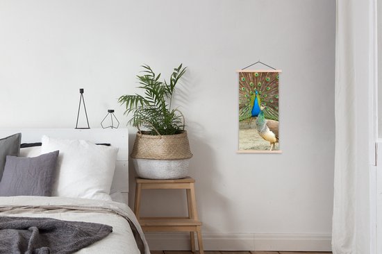 Porte-affiche avec affiche - Affiche scolaire - Paons - Vogels - Ressorts - 40x80 cm - lattes vierges