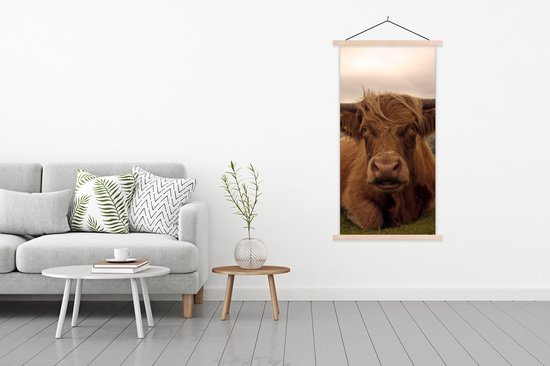 Porte-affiche avec affiche - Affiche scolaire - Highlander écossais - Animaux - Berg - 90x180 cm - lattes vierges