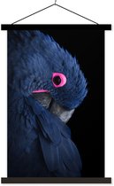 Porte-affiche avec affiche - Affiche scolaire - Perroquet - Vogel - Blauw - 60x90 cm - Lattes noires