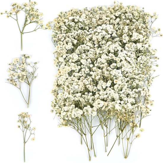 100 Bloemdraden + 2 Rollen Groene Bloementape – 30 Cm Lang, Flexibel En Roestvrij, Voor Bloemstukken En Creatieve Projecten