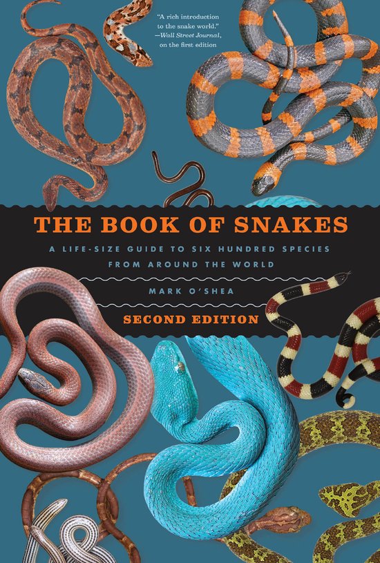 Life-Size Guides to the Best of Nature-The Book of Snakes