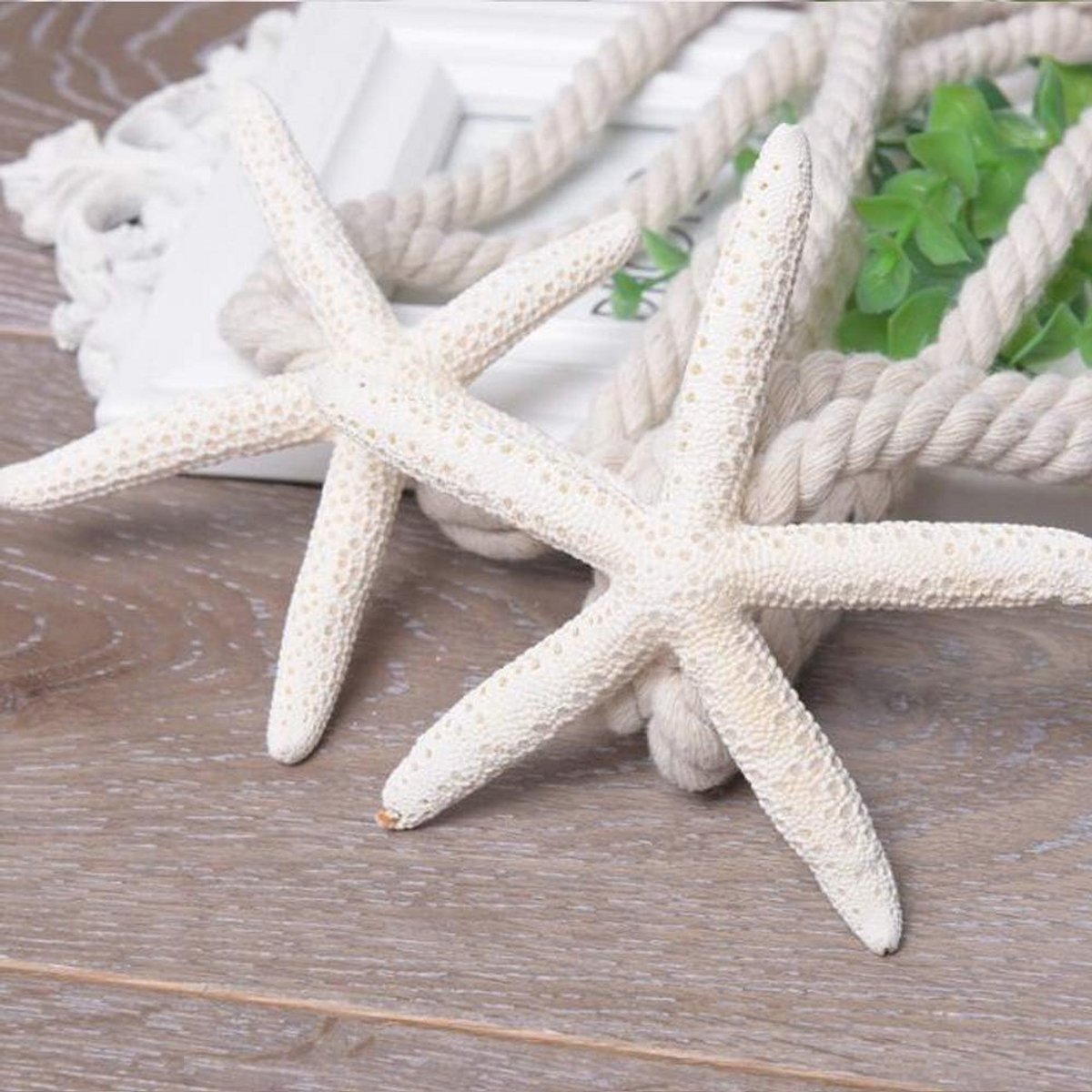 4 Stuks Natuurlijke Zeester Gordijn Tiebacks - Creatieve Gordijn Houders en Accessoires