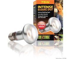 Warmtespotlamp voor Terrariums - Optimale Verwarming voor Reptielen & Amfibieën