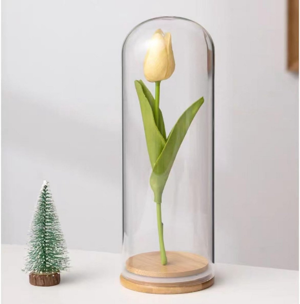 Glazen Stolp met Houten Voet - Transparante Vitrine voor Decoratie en Display