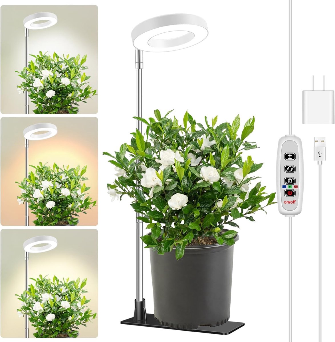 Kweeklamp voor Binnenplanten - Volledig Spectrum Plantenlamp - Timer 3/9/12 uur en 10 Helderheden - Hoogte Verstelbaar 16-66 cm - 1 Stuk