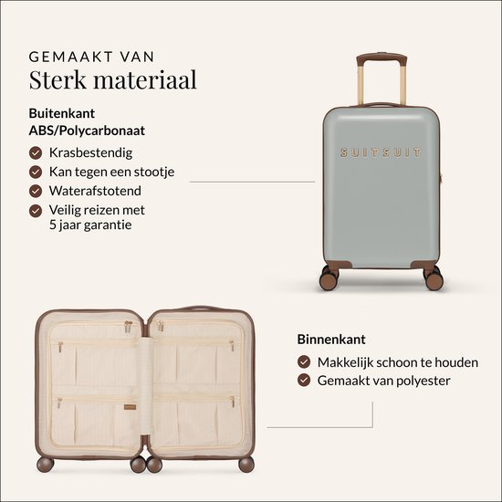 Een set van twee lichtgrijze koffers, een grote en een handbagage koffer, met bruine handvatten.