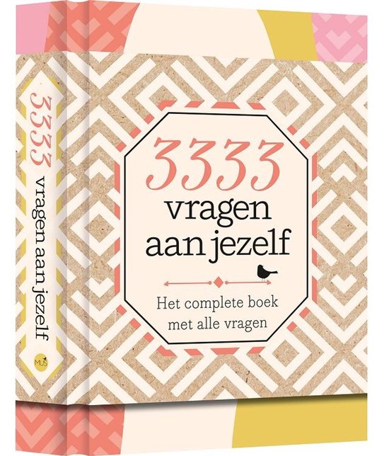 3333 vragen aan jezelf - cover
