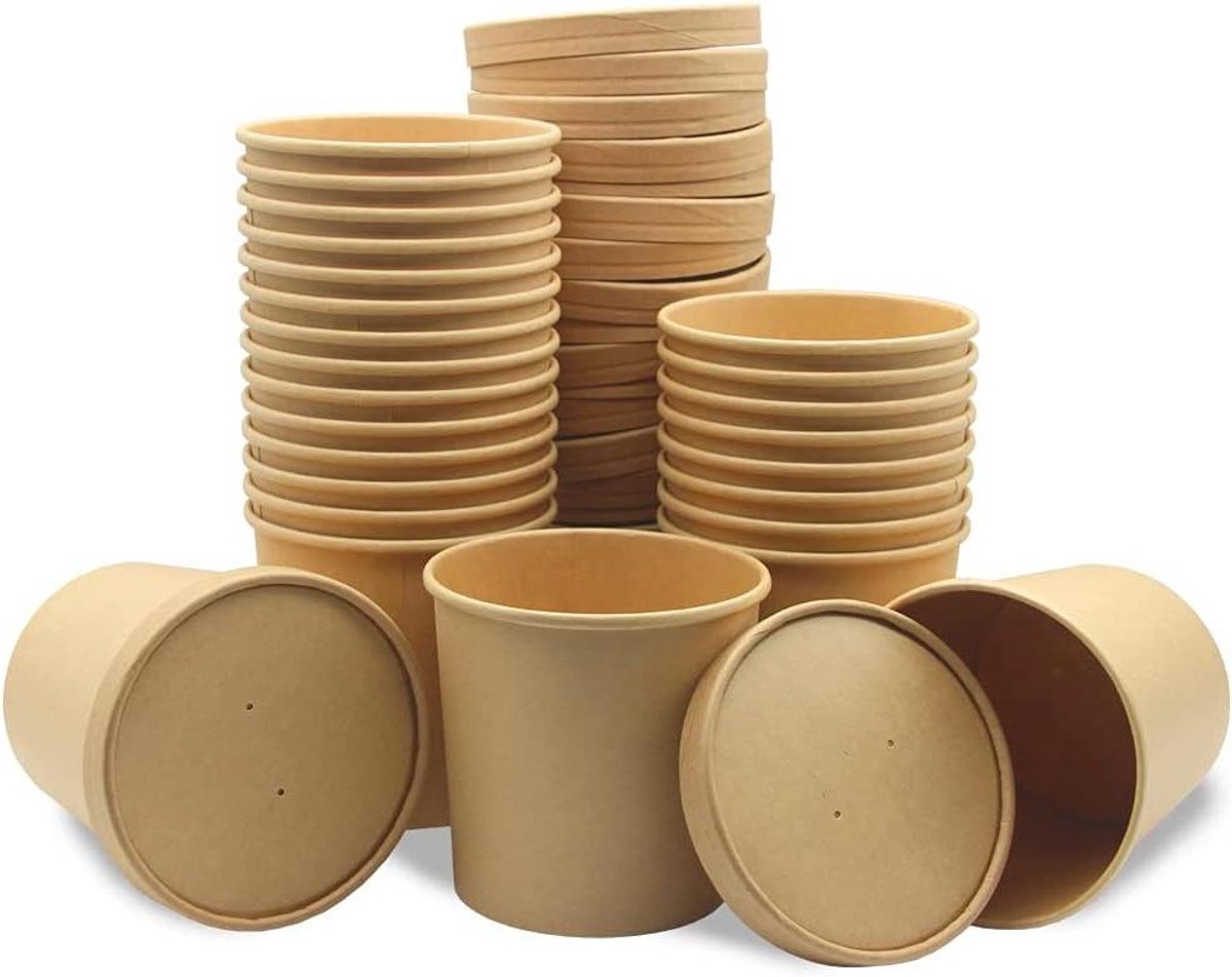 Cosensi - Papieren voedselcontainer, 25 stuks, saladebak voor onderweg, soepbakjes met deksel, lekvrij, geschikt voor noedels en ijs (450 ml)