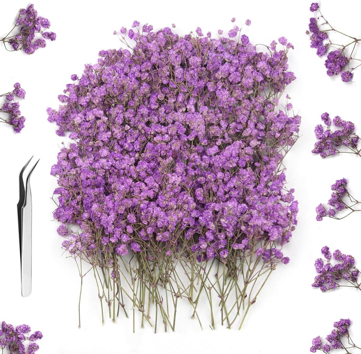 Cosensi - Gedroogde Gypsophila Bloemen 120 Stuks voor Hars, Bladwijzers en Wenskaarten