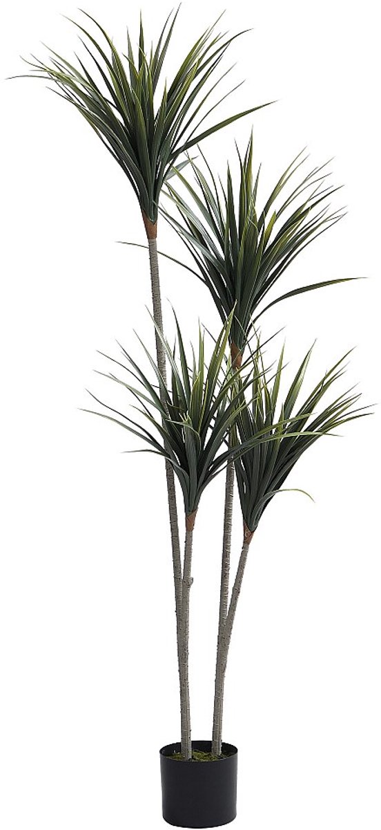 Vente-unique Kunstyucca met pot - H150 - LYA